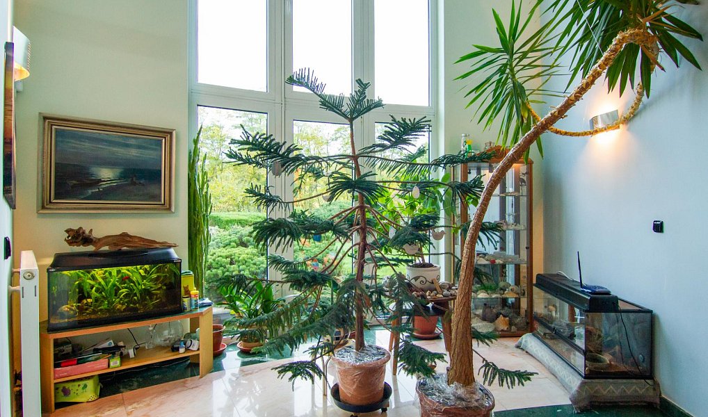 Prodej domu 807 m² s pozemkem 5 219 m², Říčany – náhled fotky 7