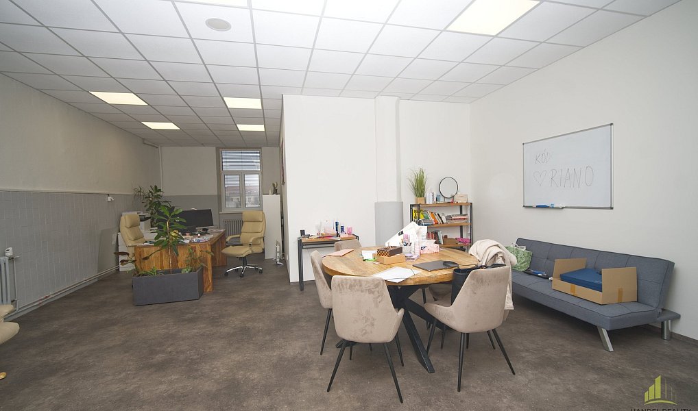 Prodej komerčního objektu (jiného typu) 7 353 m², Prostějov – náhled fotky 6