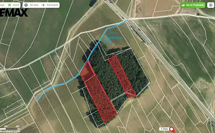 Prodej lesa 21 595 m², Ostřetín, okres Pardubice