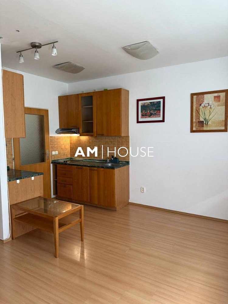 Pronájem bytu 1+kk 29 m²