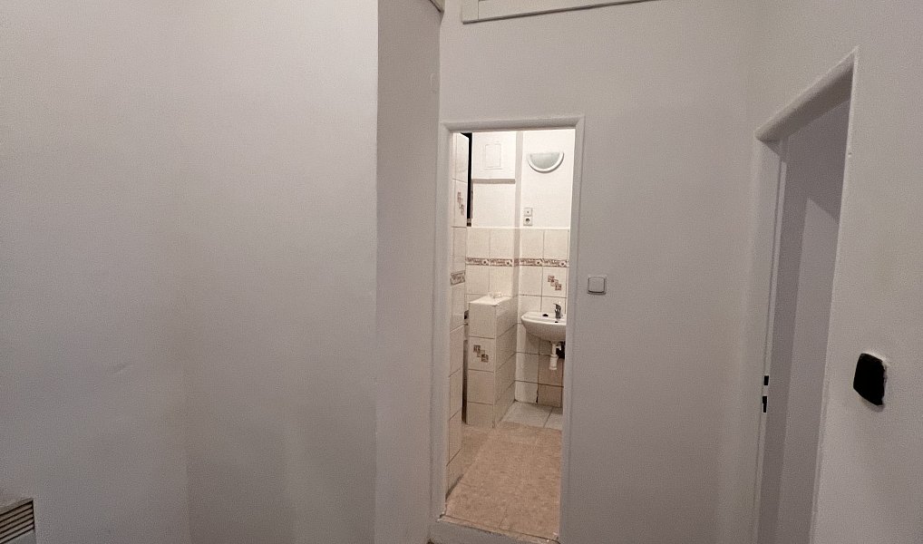 Pronájem komerčního objektu (jiného typu) 52 m², Praha – náhled fotky 9