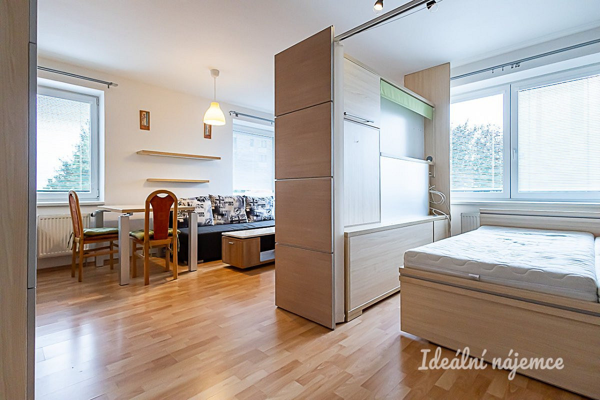 Pronájem bytu 1+kk 40 m² – fotografie 5