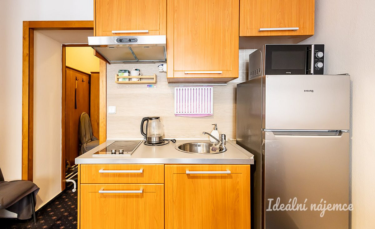Pronájem bytu 1+kk 26 m² – fotografie 3