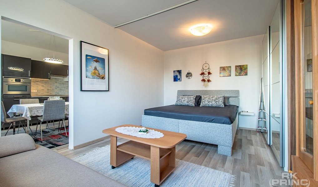 Prodej bytu 1+1 46 m², Praha – náhled fotky 8