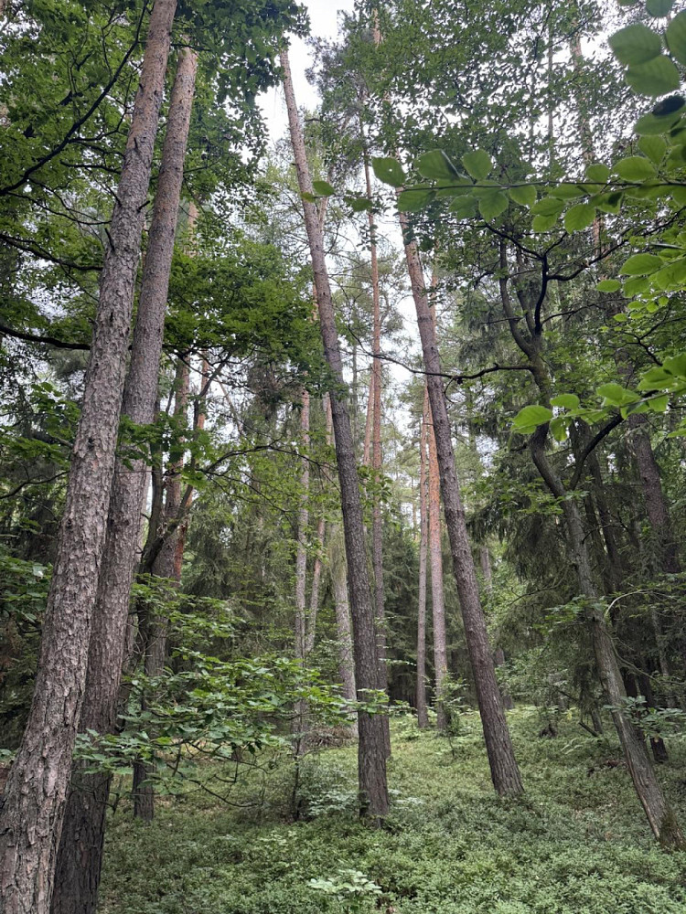 Fotka 6 z 29