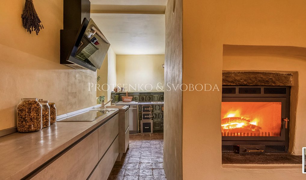 Prodej domu 354 m² s pozemkem 2 604 m², Pavlov – náhled fotky 16