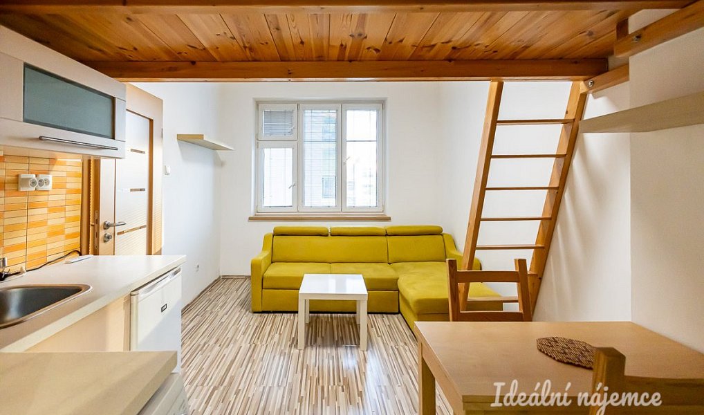Pronájem bytu 1+kk 20 m², Praha – náhled fotky 4