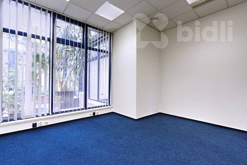 Pronájem kanceláře 30 m² — photo 4