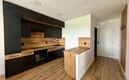 Pronájem bytu 1+1 37 m², Dr. Janského, Chomutov