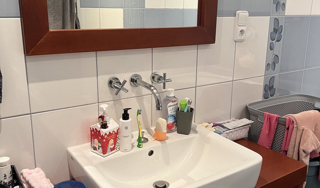 Pronájem bytu 2+kk 55 m², Plzeň – náhled fotky 4