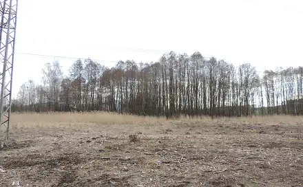 Prodej vodní plochy 486 m², Brniště, okres Česká Lípa