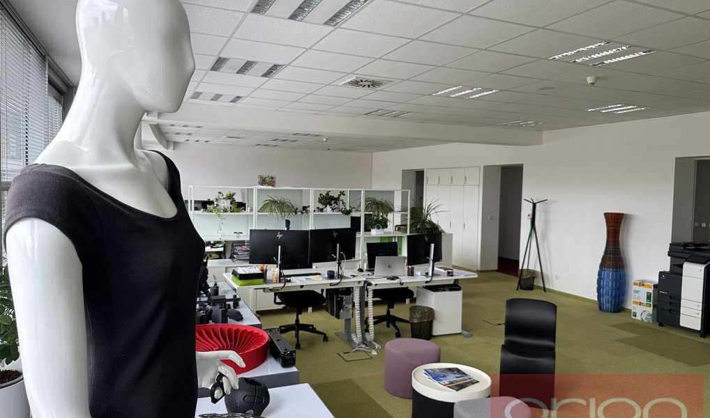 Pronájem kanceláře 303 m², Praha – náhled fotky 4