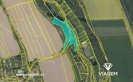 Prodej lesa 586 m², Velký Třebešov, okres Náchod