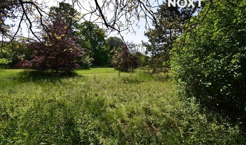 Prodej pole 7 326 m², Šlapanice – náhled fotky 2