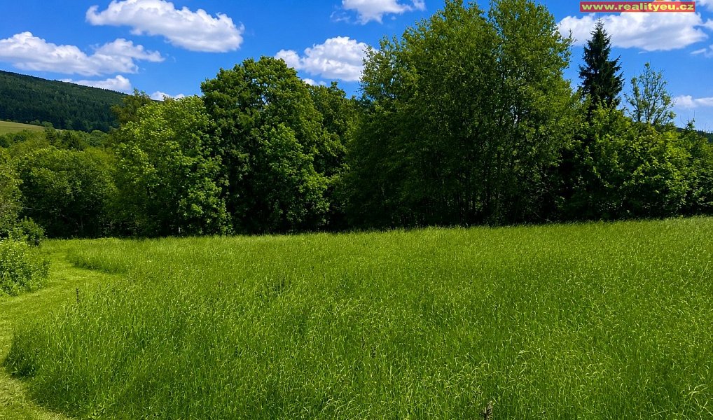 Prodej louky 7 453 m², Deštné v Orlických horách – náhled fotky 3