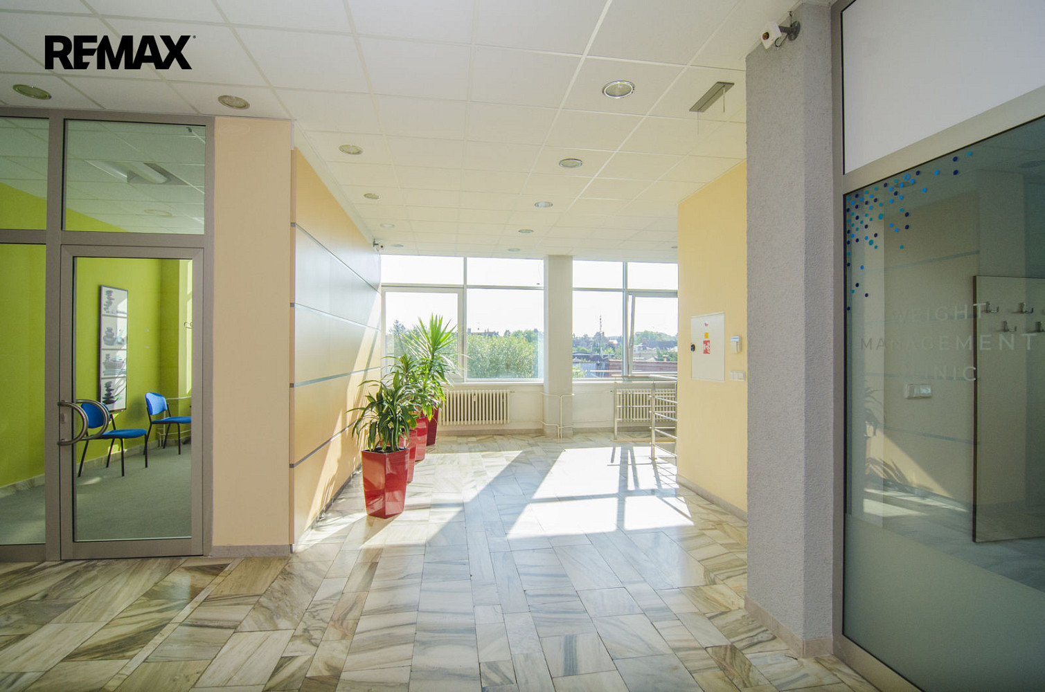 Pronájem kanceláře 34 m² – fotografie 5