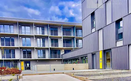 Pronájem bytu 2+kk 53 m², Brno