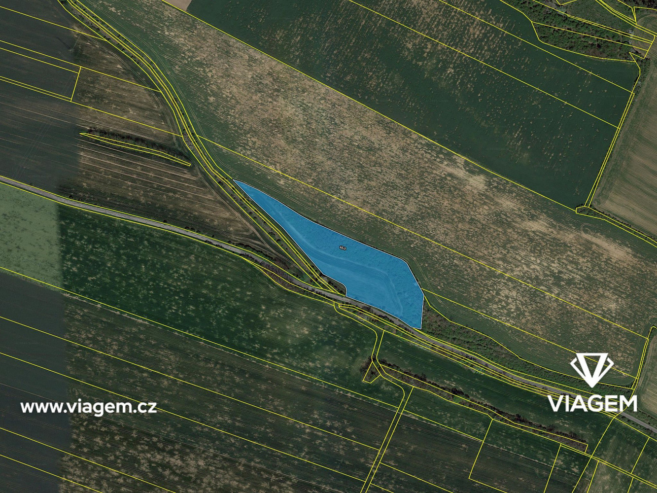 Prodej pole 3 669 m² – fotografie 4