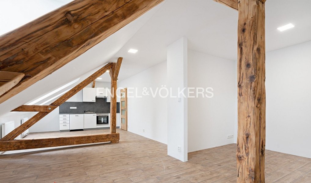 Pronájem bytu 1+kk 49 m², Plzeň – náhled fotky 4