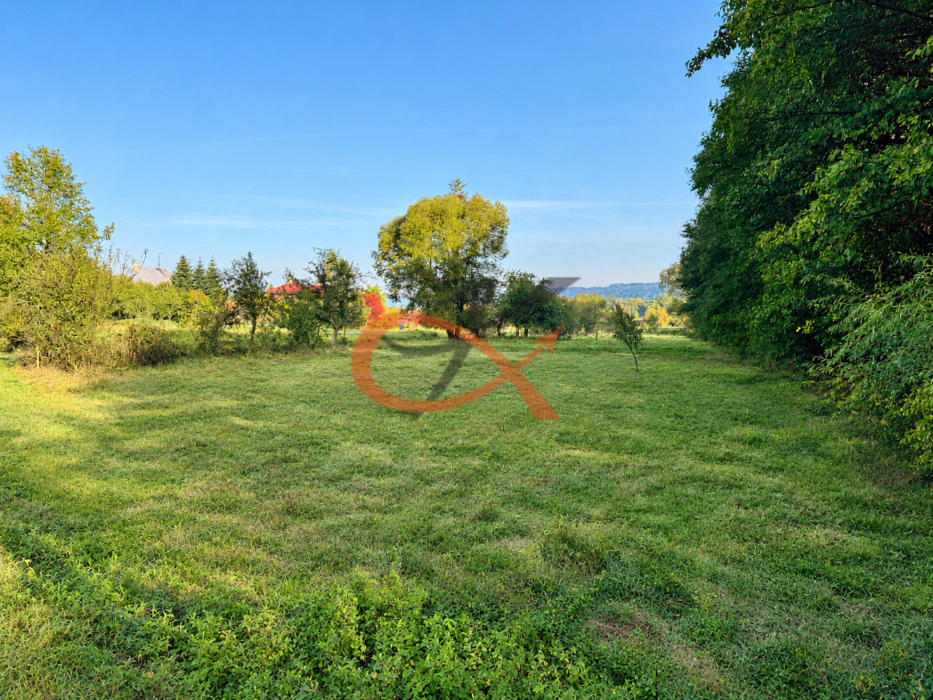 Prodej zahrady 4 190 m² – fotografie 2