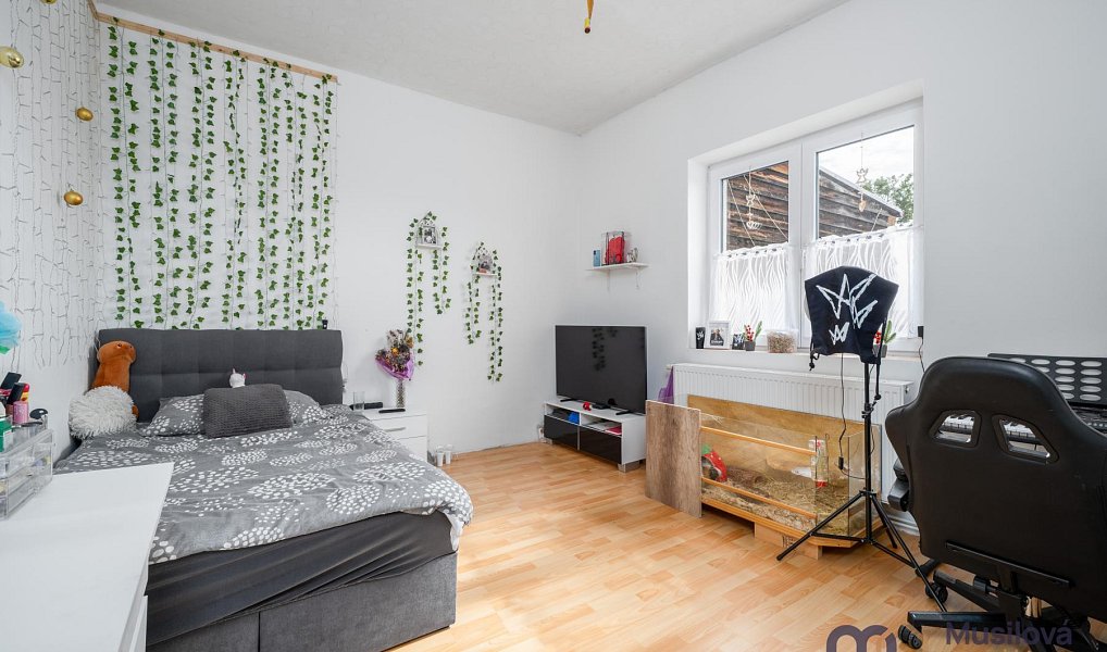 Prodej domu 210 m² s pozemkem 322 m², Novosedlice – náhled fotky 10