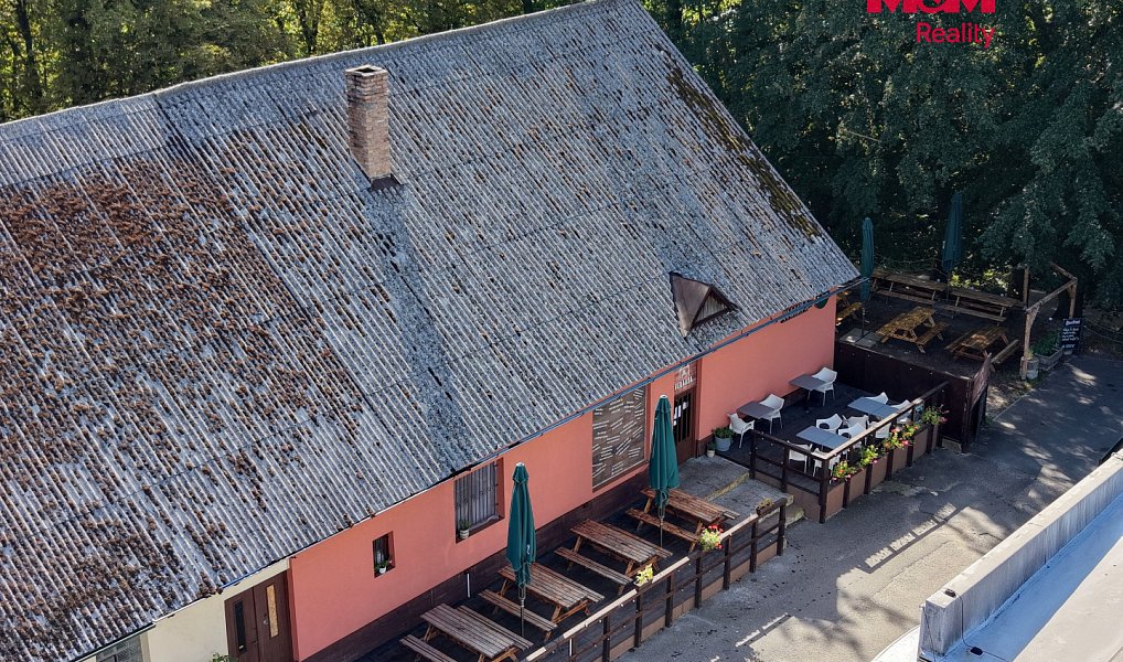 Pronájem restaurace 150 m², Loučeň – náhled fotky 5