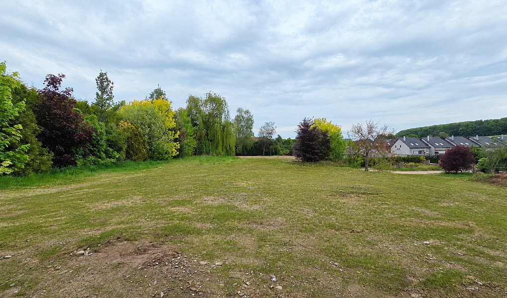 Prodej stavebního pozemku 3 871 m², Tršice – náhled fotky 4