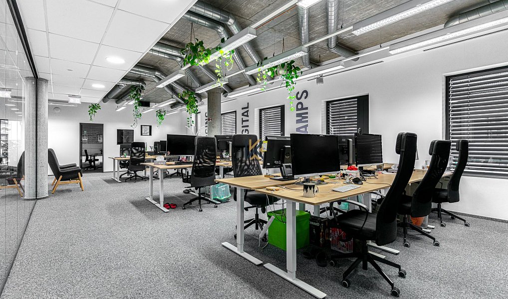 Pronájem kanceláře 539 m², Praha – náhled fotky 3