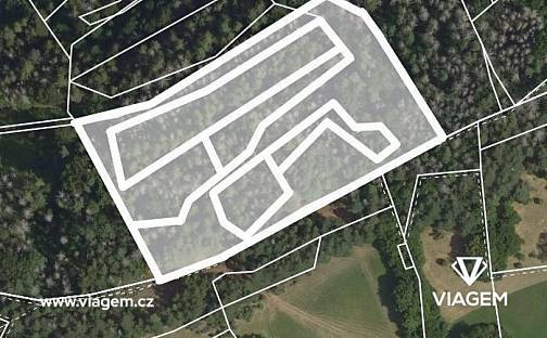 Prodej lesa 3 262 m², Koroužné, okres Žďár nad Sázavou