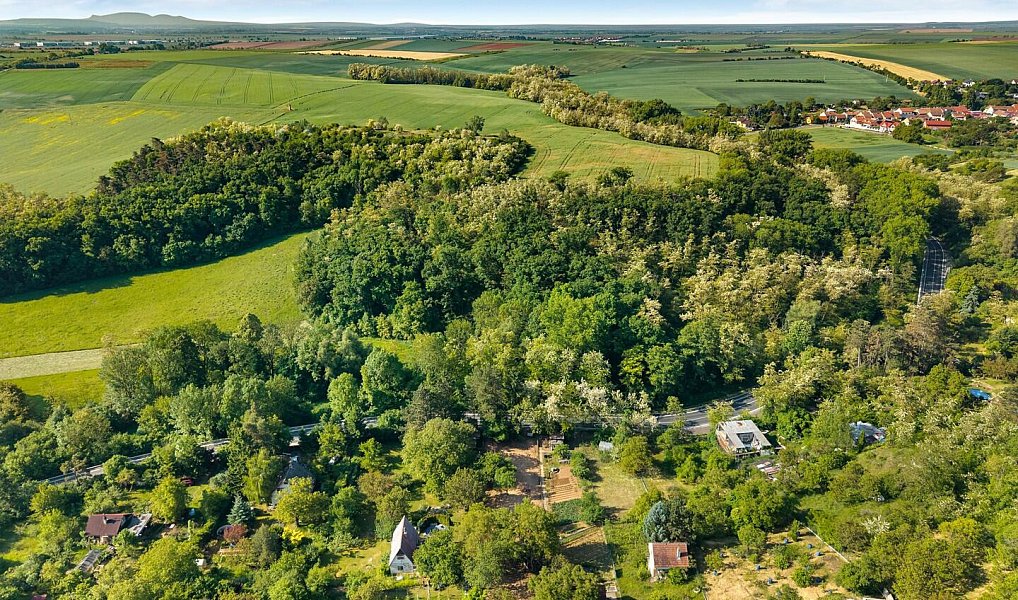 Prodej pozemku 985 m², Želešice – náhled fotky 7