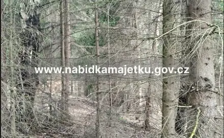 Prodej lesa 709 m², Ruda nad Moravou, okres Šumperk