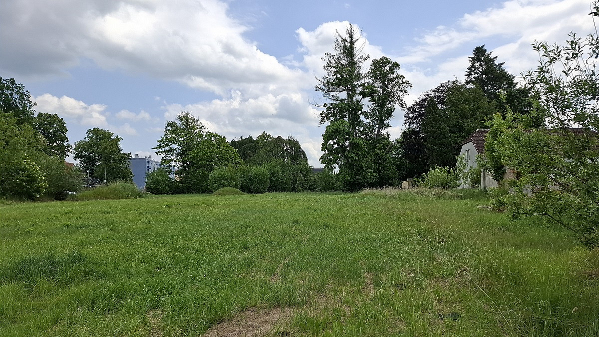 Prodej stavebního pozemku 10 767 m² – fotografie 2