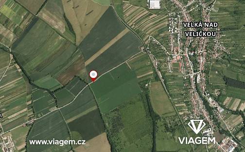 Prodej pole 2 255 m², Velká nad Veličkou, okres Hodonín
