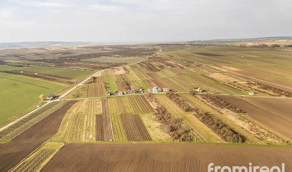 Prodej stavebního pozemku 1 593 m², Moravský Žižkov – náhled fotky 20