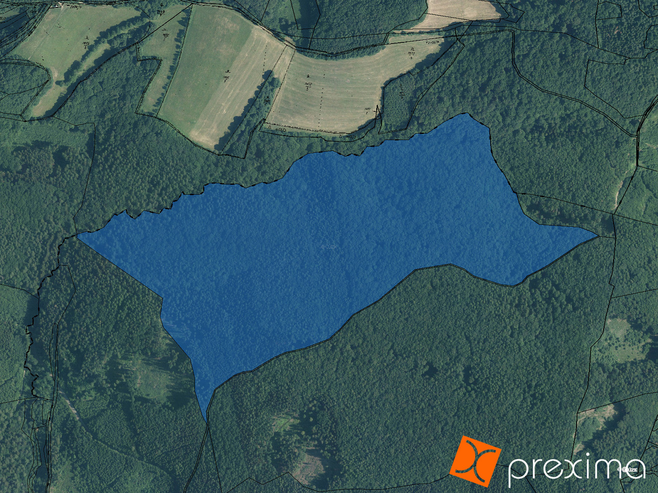 Prodej lesa 1 860 m²