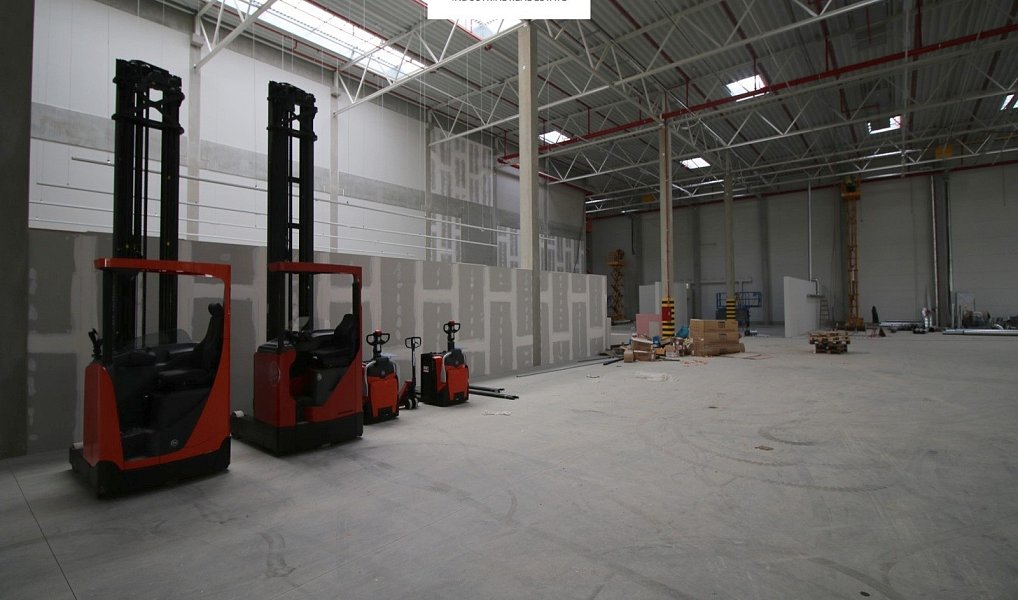 Pronájem skladovacích prostor 3 000 m², Pavlov – náhled fotky 13