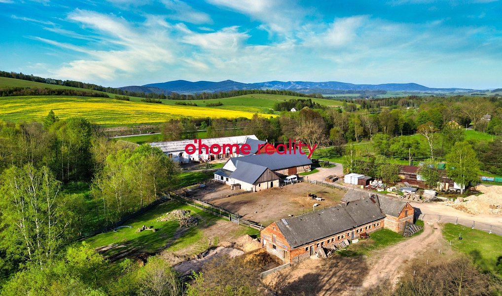 Prodej zemědělského objektu 21 579 m², Lichkov – náhled fotky 21