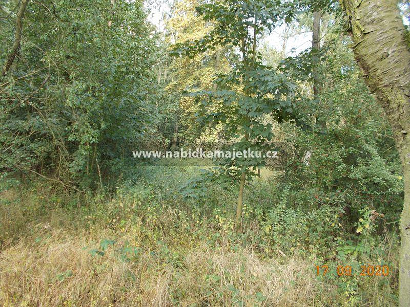 Prodej lesa 423 m², Útušice