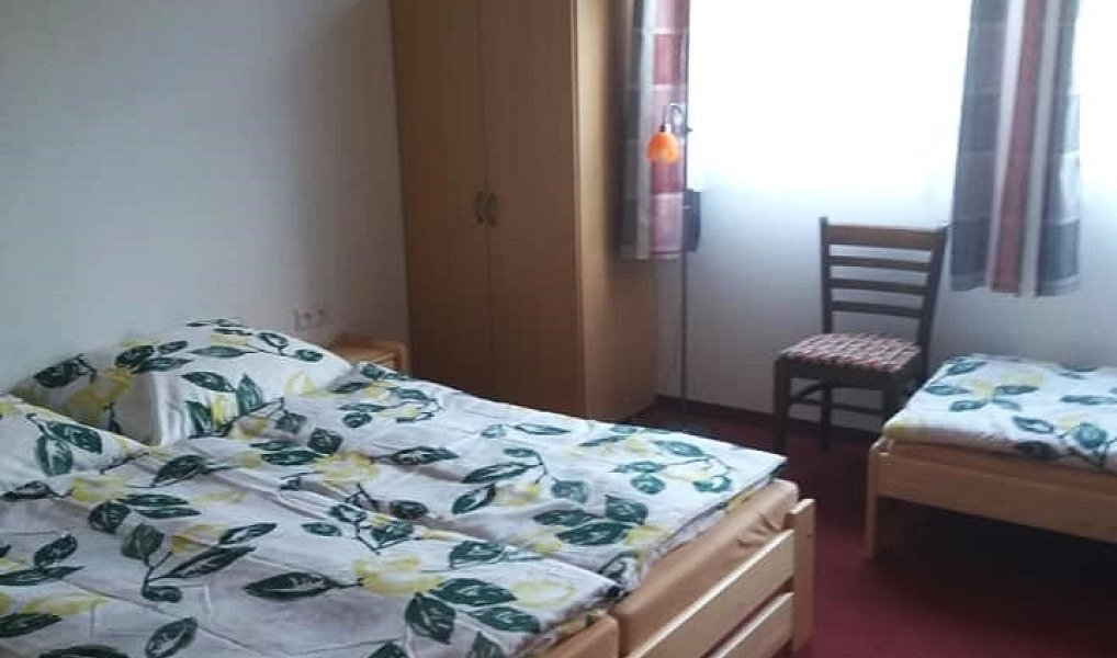 Prodej domu 593 m² s pozemkem 3 869 m², Česká Skalice – náhled fotky 18