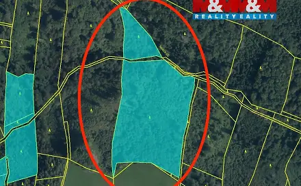 Prodej lesa 29 330 m², Horní Studénky, okres Šumperk