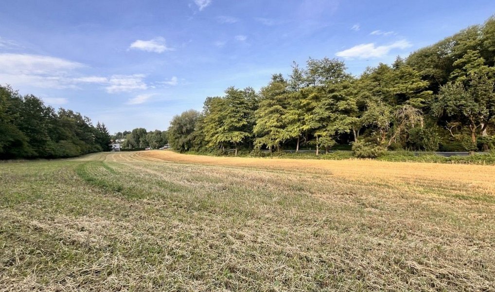 Prodej stavebního pozemku 14 370 m², Kralupy nad Vltavou – náhled fotky 6