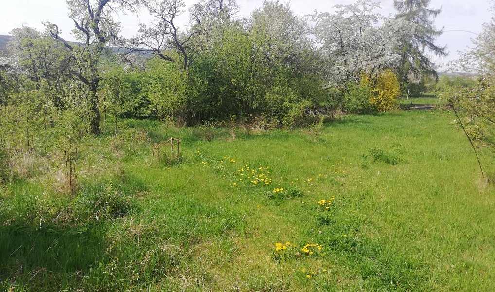 Prodej stavebního pozemku 1 044 m², Mšec – náhled fotky 3