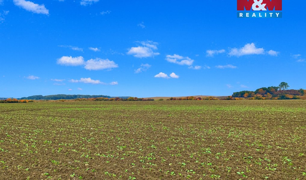 Prodej pole 7 125 m², Dolní Roveň – náhled fotky 2