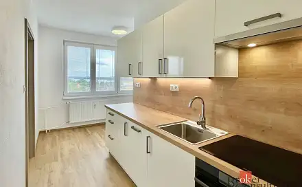 Pronájem bytu 1+1 43 m²