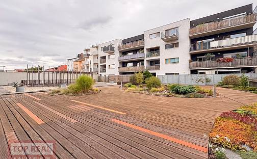 Prodej bytu 2+kk 54 m², Košinova, Brno - Královo Pole