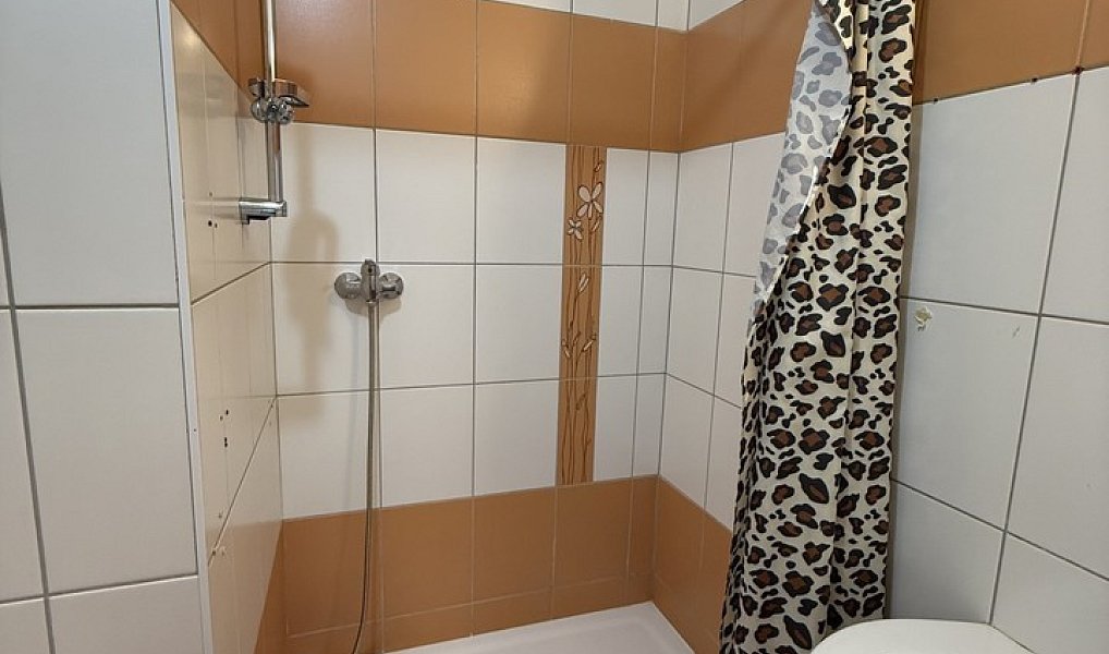 Pronájem bytu 2+1 50 m², Strašice – náhled fotky 14