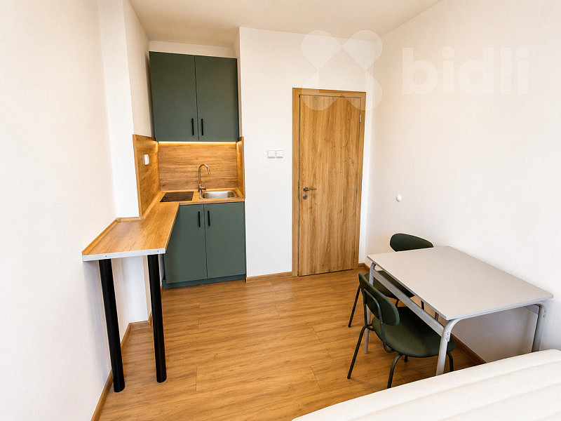 Pronájem bytu 1+kk 17 m²
