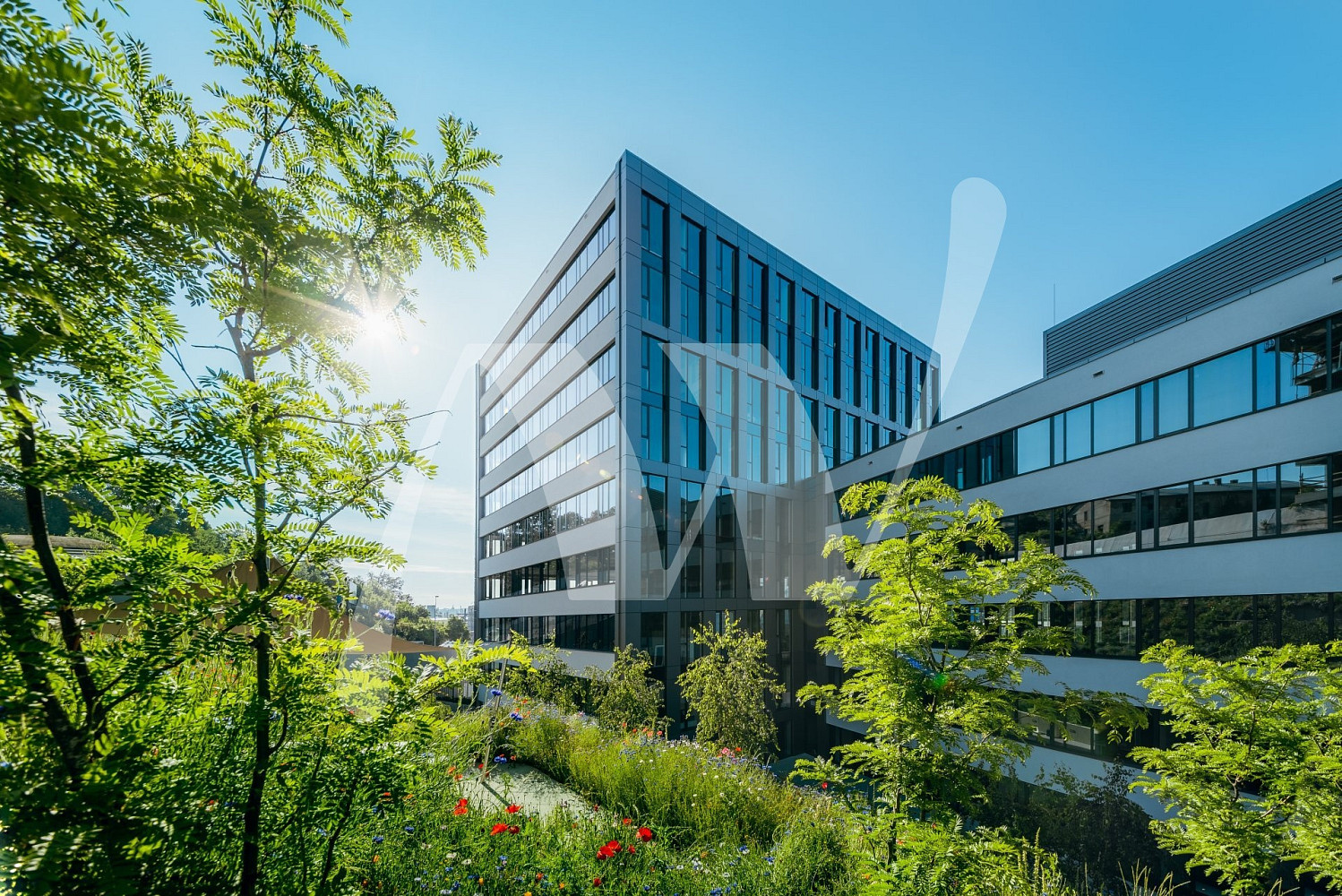 Pronájem kanceláře 350 m²