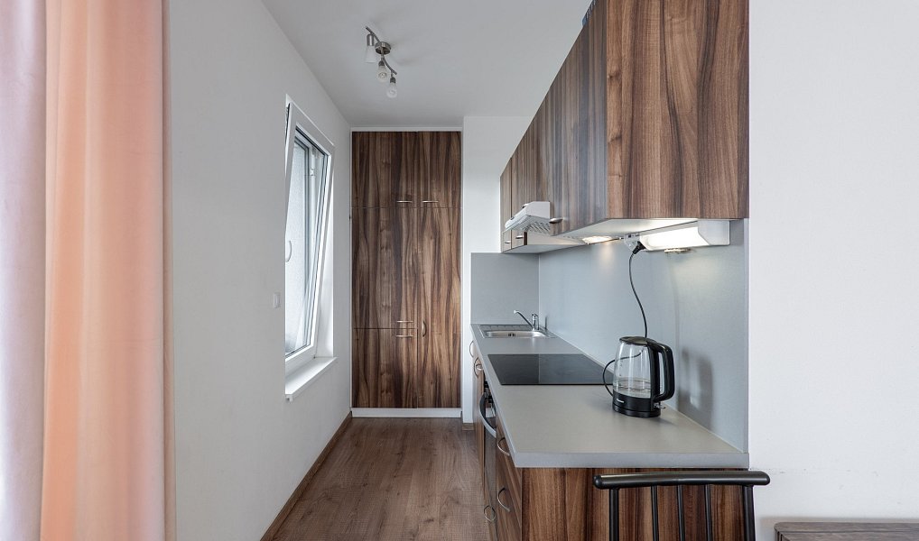 Prodej bytu 2+kk 62 m², Praha – náhled fotky 8