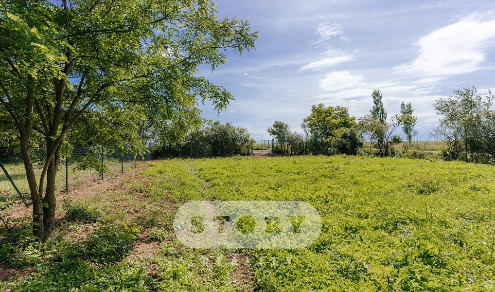 Prodej zahrady 1 000 m², Křelov-Břuchotín – náhled fotky 6